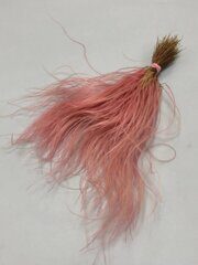 Ковыль сухоцвет розовый