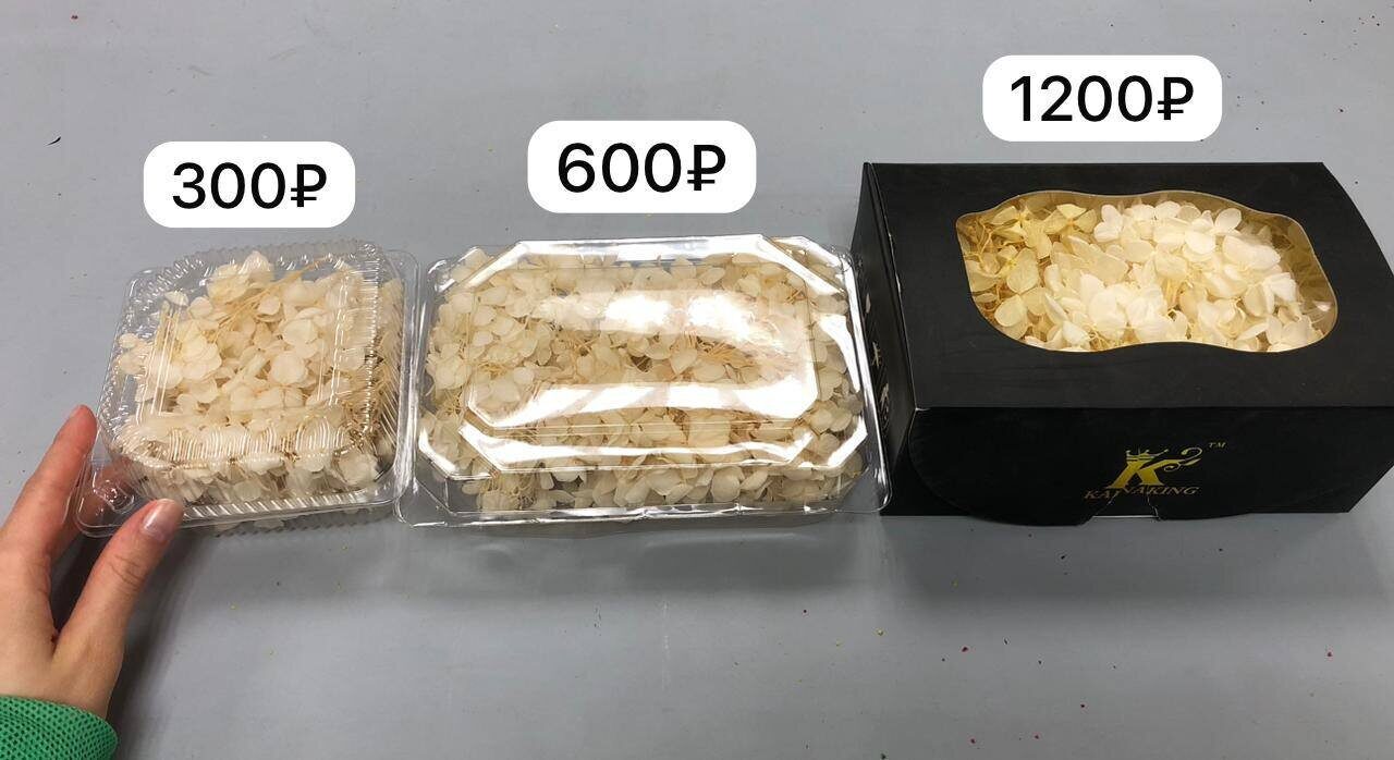 Гортензия в расфасовке средняя коробочка